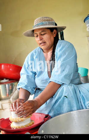 Frau bei der Herstellung von Frischkäse in der Penas Tal, Departement Oruro, Bolivien, Südamerika Stockfoto