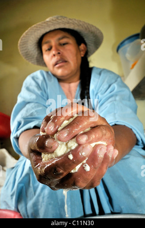 Frau bei der Herstellung von Frischkäse in der Penas Tal, Departement Oruro, Bolivien, Südamerika Stockfoto