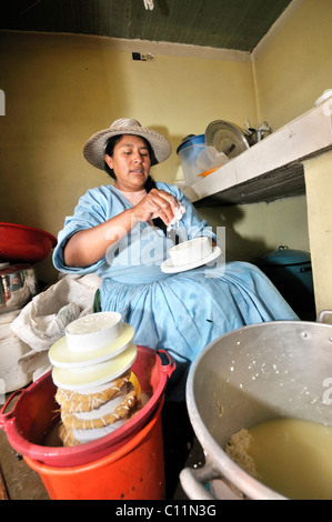 Frau bei der Herstellung von Frischkäse in der Penas Tal, Departement Oruro, Bolivien, Südamerika Stockfoto