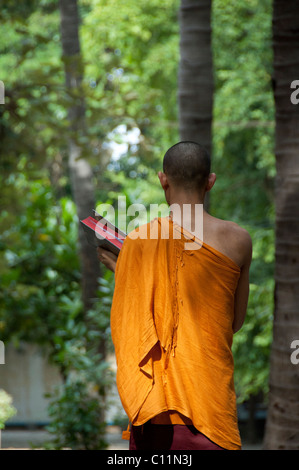 Myanmar (aka Burma), Mandalay, Amarapura. Mahagandayone Kloster, das größte Kloster in Myanmar. Mönch zu lesen. Stockfoto