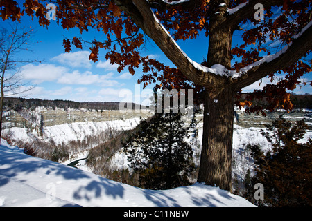 Letchworth State Park Kastilien New York USA im winter Stockfoto