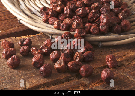 Getrocknete Beeren der Jujube (Ziziphus Jujuba) als Zutat für Müsli, Kuchen und Gebäck, aus einer Weide Korb gekippt Stockfoto