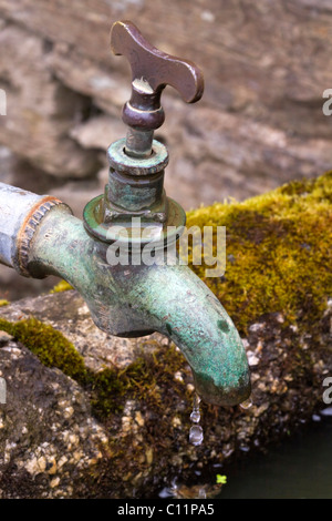 Tropfenden Wasserhahn auf einem Steintrog auf die Lost Gardens of Heligan, Cornwall Stockfoto