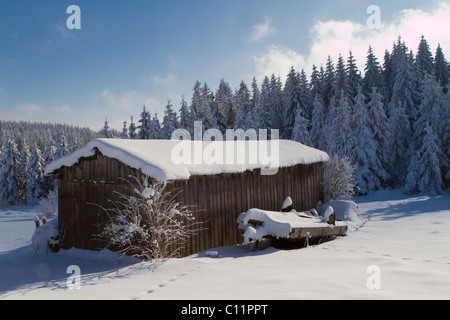 Schnee-bedeckten Schuppen, Waldviertel, Niederösterreich, Österreich Stockfoto