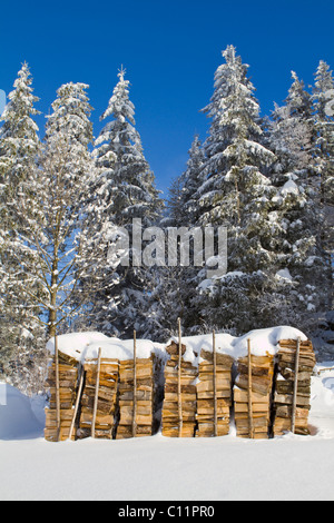 Gestapeltes Brennholz, Waldviertel, Niederösterreich, Österreich Stockfoto