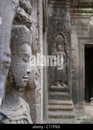 Ta Prohm, Siem Reap, Kambodscha - ursprünglich ein buddhistischer Tempel gebaut im 12. Jahrhundert Stockfoto