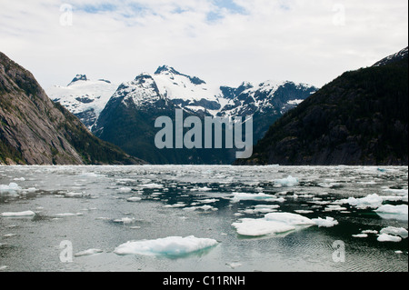 Alaska. Packeis in LeConte Bay, Frederick Sound Tongass National Forest, Inside Passage, Südost-Alaska. Stockfoto