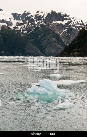 Alaska. Eisberg in der südöstlichen Alaska LeConte Bucht. Stockfoto