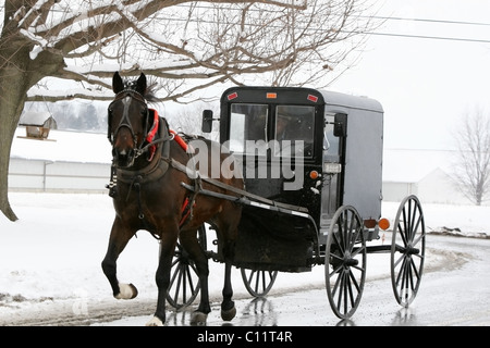 Winterdienst mit amischen Pferd und Buggy im Lancaster County, Pennsylvania Stockfoto