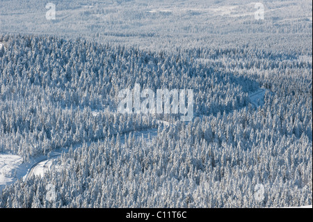 Winterwald auf Mt Brocken im Harz, Blocksberg Mountain Nationalpark Harz, Sachsen-Anhalt, Deutschland, Europa Stockfoto
