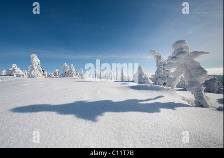 Figur mit Schatten, im winter auf Mt Brocken im Harz, schwarz und weiß, Blocksberg Mountain Nationalpark Harz, Sachsen-Anhalt Stockfoto