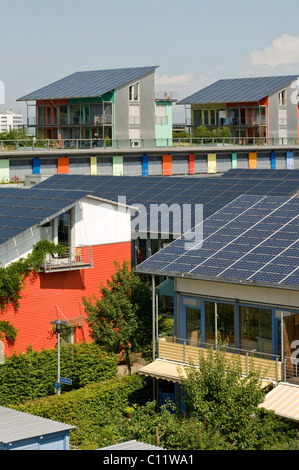 Solarsiedlung, Quartier Vauban, neues Wohngebiet entwickelt als Freiburgs Eintrag für die EXPO 2010 in Shanghai, Freiburg Stockfoto