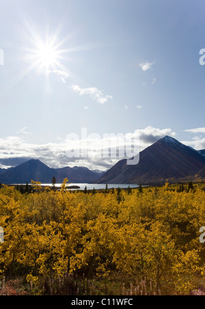 Indian Summer, Bäume in Herbstfarben, Kathleen Lake, St, Elias Berge, Kluane Nationalpark und Reserve, Yukon-Territorium Stockfoto