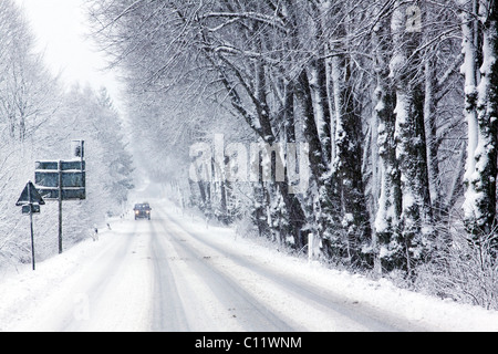 Linden Tree Parkway (Tilia) im Winter mit Schneefall, Naturdenkmal Borsteler Linden-Allee Naturdenkmal, eisigen Winter-Straße Stockfoto