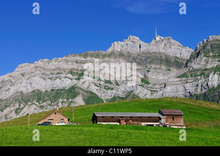 Bauernhaus vor dem Säntis, dem höchsten Berg des Bereichs Alpstein, Kanton Appenzell, Schweiz, Europa Stockfoto