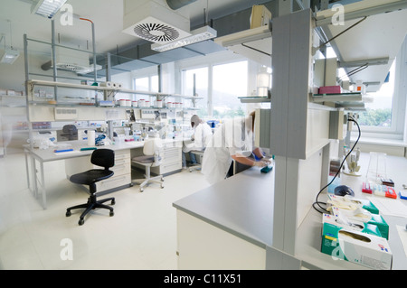 Labor-Szene, Labor für genetische Analysen Stockfoto