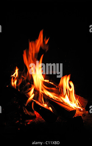 Holzofen im Kamin Stockfoto