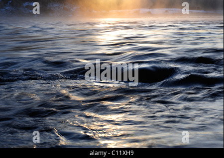 Morgen-Stimmung in den Auen der Isar River, Isarauen, in der Nähe von Geretsried, Bad Tölz-Wolfratshausen, Bayern, Oberbayern Stockfoto