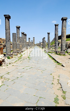 Gasse mit Säulen, Ruinen in der römischen Ausgrabungsstätte von Bosra, Syrien, Asien Stockfoto