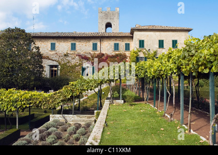 Schlosspark eines Weinguts, Badia di Coltibuono, Chianti, Toskana, Italien, Europa Stockfoto