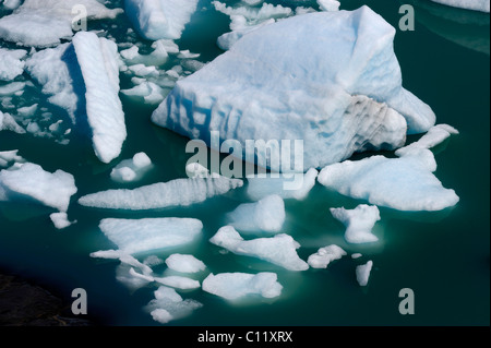 Eisschollen im Wasser, Perito-Moreno-Gletscher, Patagonien, Argentinien, Südamerika Stockfoto