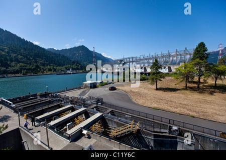 Kraftwerk an der Bonneville Dam, Bradford Insel Displayqualität, USA Stockfoto