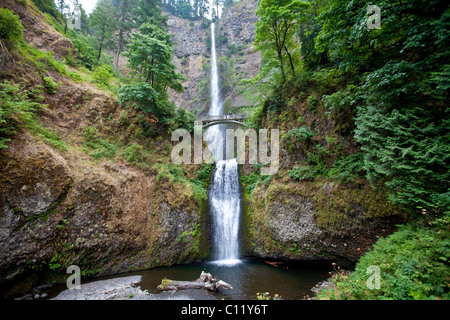 Multnomah Falls, Columbia River Gorge, Kaskade-Strecke, Oregon, USA Stockfoto