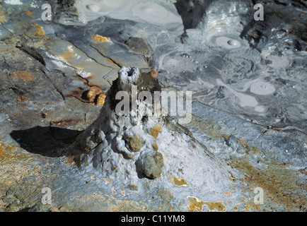 Hot Pot, Namaskard, Solfatara Felder, Hochland, Island, Europa Stockfoto