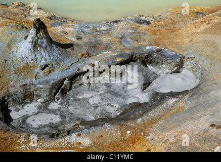 Hot Pot, Namaskard, Solfatara Felder, Hochland, Island, Europa Stockfoto