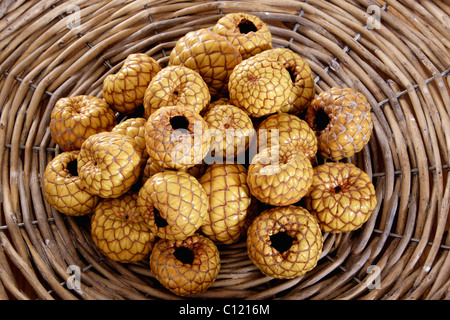 Rumbia, getrocknete Salak Früchte (Salacca Zalacca) in einem geflochtenen Korb Stockfoto