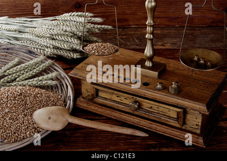 Antike Waage wiegen Körner von Weizen (Triticum) Stockfoto