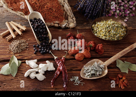 Gemischte Gewürze, Distelöl (Carthamus Tinctorius), Lavendel (Lavandula Angustifolia), Rosenknospen (Rosa), Zimt, Wacholder Stockfoto