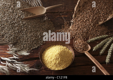 Verschiedene Arten von Getreide, Roggen (Secale Cereale), Weizen (Triticum) und Hirse (Panicum Miliaceum) auf eine Holzoberfläche Stockfoto