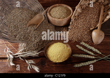 Verschiedene Arten von Getreide, Roggen (Secale Cereale), Weizen (Triticum), Buchweizen (Fagopyrum Esculentum) und Hirse (Panicum Stockfoto