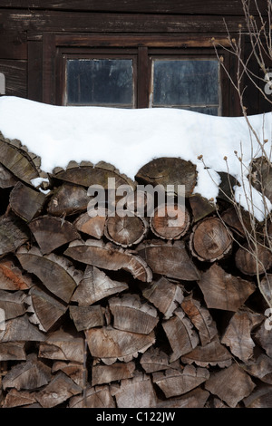 Stapel Brennholz vor einer Hütte im Spreewald Wald, Brandenburg, Deutschland, Europa Stockfoto