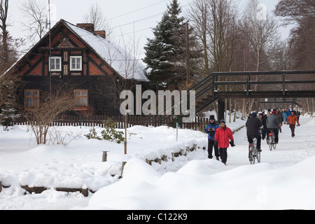 Spreewald-Wald im Winter mit zugefrorenen Kanälen, Spree entlang, Brandenburg, Deutschland, Europa Stockfoto