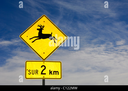 Traffic Sign, Vorsicht Elch, auf Französisch, Quebec, Kanada Stockfoto