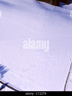 Heißluft-Ballon nähert sich der Landeplatz in der Nähe Bad Bayersoien im Allgäu, Upper Bavaria, Bavaria, Germany Stockfoto