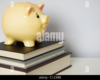 gelbe Sparschwein auf gebrauchte Bücher. Horizontale Form, Textfreiraum Stockfoto