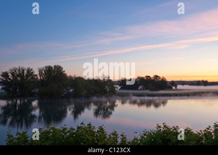 Morgen-Stimmung am Untersee-See in Gottlieben am Bodensee, Kanton Thurgau, Schweiz, Europa Stockfoto