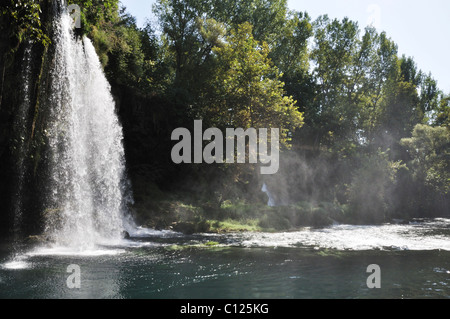 Wilden Wasserfall in den grünen Wald Stockfoto