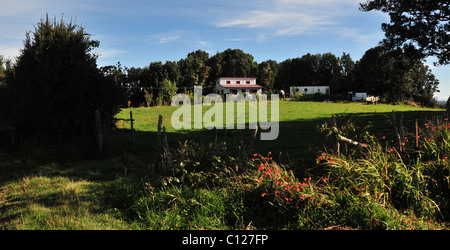 Rote Crocosmia Blumen wachsen auf einer grasbewachsenen am Straßenrand Kante unten ein grünes Feld mit hölzernen Bauernhaus, Chiloé Insel, Chile Stockfoto