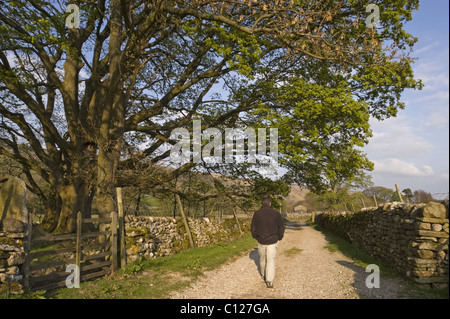 Ein Mann schlendert auf einer kurvenreichen Schotterpiste, Arncliffe, Littondale. Stockfoto