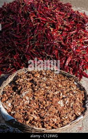 Samenkapseln Tamarinde (Tamarindus Indica) und getrocknete rote Chili zum Verkauf auf einem indischen Markt. Andhra Pradseh, Indien Stockfoto