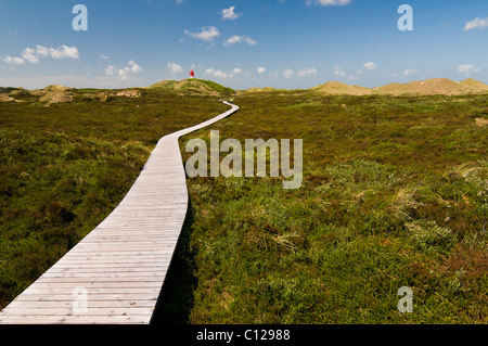 Promenade durch die Dünen und Leuchtturm, Insel Amrum, Schleswig-Holstein, Deutschland, Europa Stockfoto