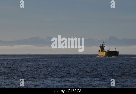 Blauer Himmelsblick auf gelben Autofähre am blauen Wasser des Chacao Kanal, Blick nach Osten zu Andengipfel über Küstennebel, Chile Stockfoto