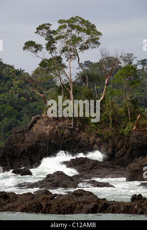 Felsenküste und Regenwald, Manuel Antonio Nationalpark, Costa Rica Stockfoto