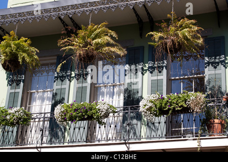 Hängende Pflanzgefäße und Balkonkästen hängen von einem schmiedeeisernen Balkon im French Quarter von New Orleans, Louisiana Stockfoto