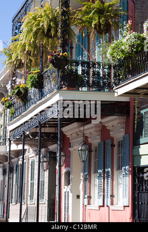 Kreolische Stadthaus mit reich verzierten schmiedeeisernen Balkon mit hängende Pflanzgefäße im French Quarter von New Orleans, Louisiana Stockfoto