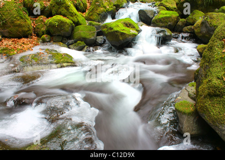 40,158.06242 ein ein kleiner Bach fließt und windet sich auf einer felsigen winter Creek Bed, Eis einfrieren in ungeraden künstlerischen Formen, Felsen grün mit Moos. Stockfoto